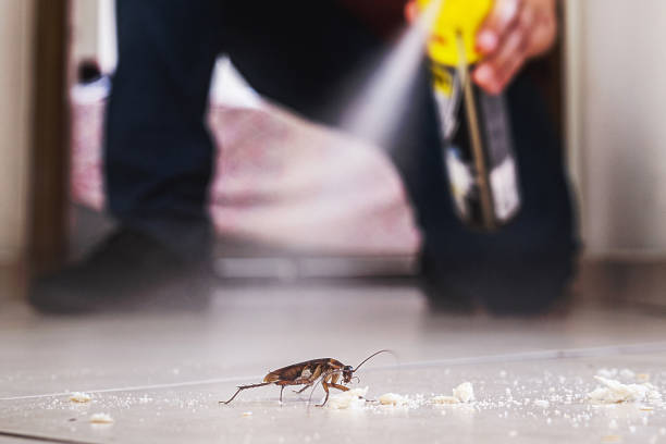 Best Termite Control Services  in Sconsin Dells, WI